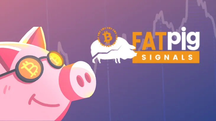 Fat-pig-signals