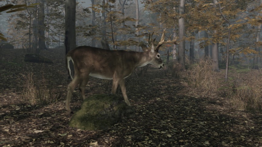 Pro Deer Hunting 2 - The Best PS5 Hunting Games (1)
